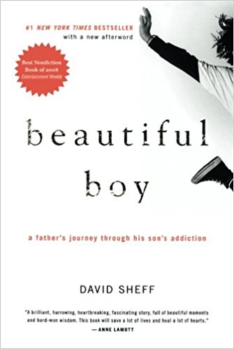 Beautiful Boy book cover